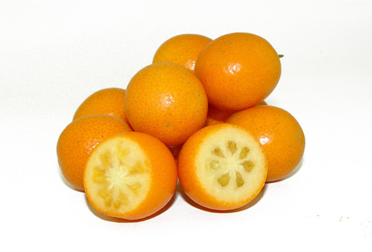 百草录 中医养生  食疗养生  食材大全  金橘对防止血管破裂,减少毛细