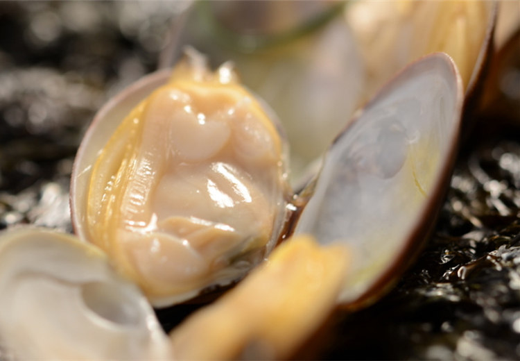 百草录 中医养生  食疗养生  食材大全  海蛤简介 蛤蜊是海中蛤类食物