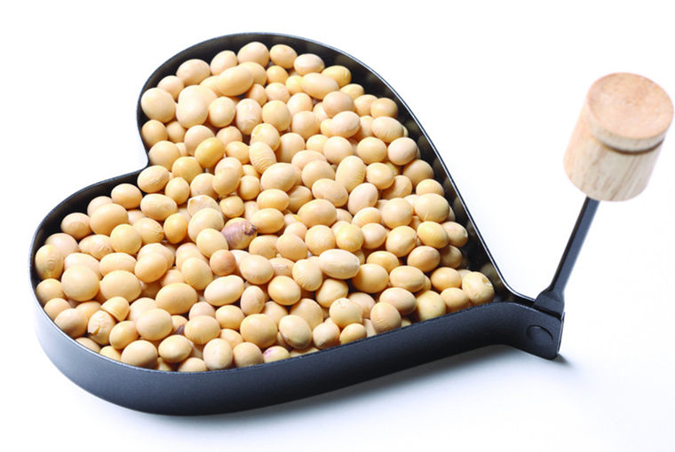 百草录 中医养生  食疗养生  食材大全   黄豆的蛋白质含量高,质量优.
